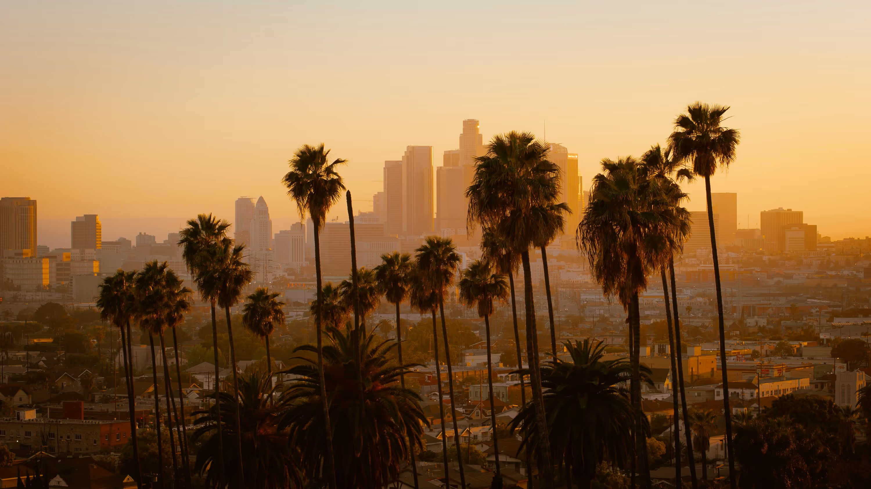 California coastline representing the California budtender standings